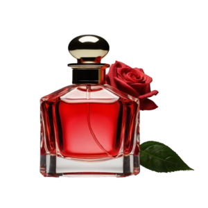 velorise oud fregernce